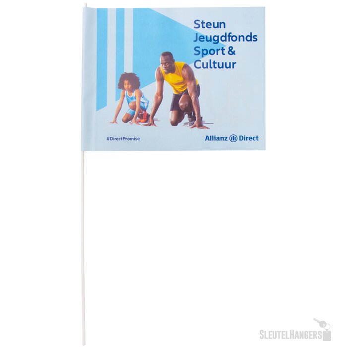 Zwaaivlaggetjes 21 x 31 cm