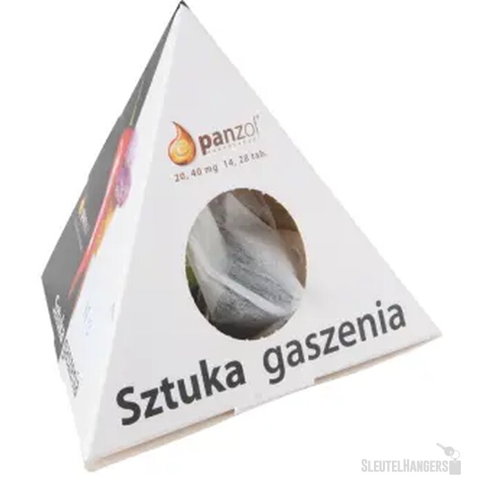 10 piramide theezakjes in bedrukte doos