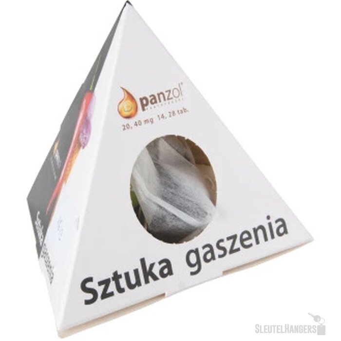 10 piramide theezakjes in bedrukte doos Custom Made