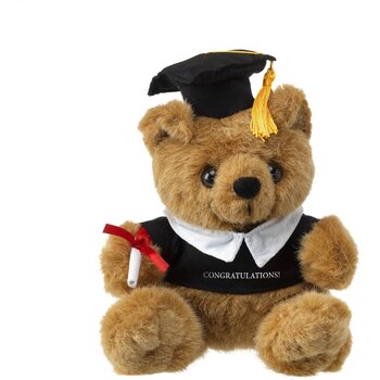 Geslaagd Knuffel Met Diploma Bruin