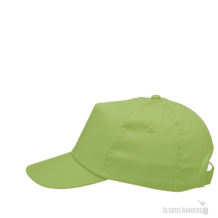 Goedkope Pet Limoengroen