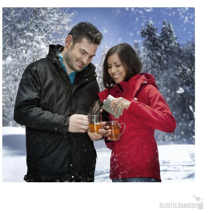 Rvs Heupfles In Kleur Zilver