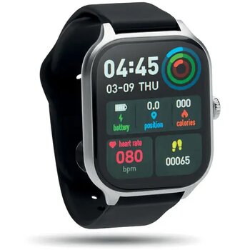 Zilver - 0,091 KG - 0,096 KG