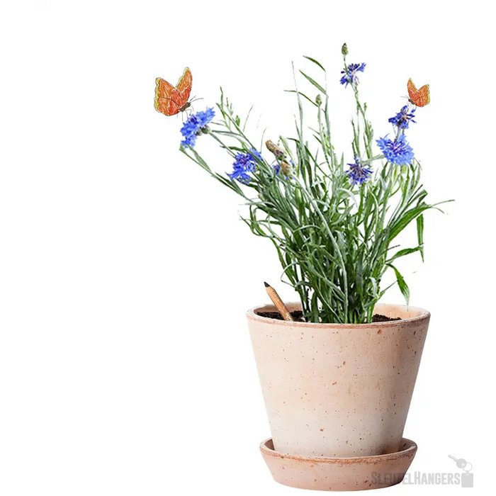 Sproutworld Sharpened Pencil Potlood Veldbloemen