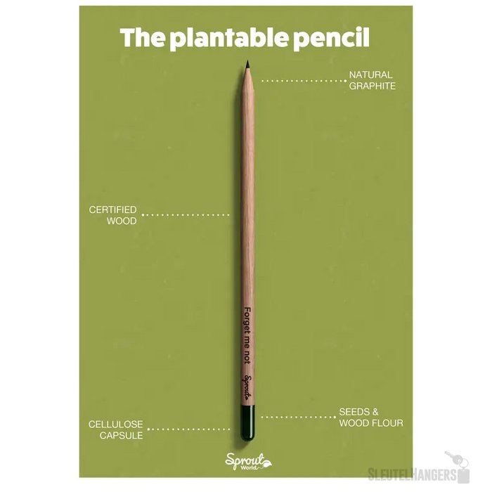 Sproutworld Sharpened Pencil Potlood Rucola