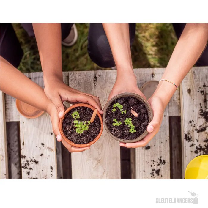 Sproutworld Sharpened Pencil Potlood Rucola