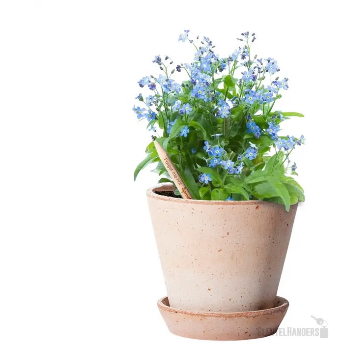 Sproutworld Sharpened Pencil Potlood Forget Me Not