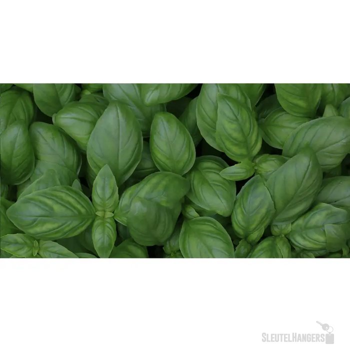 Sproutworld Sharpened Pencil Potlood Basil