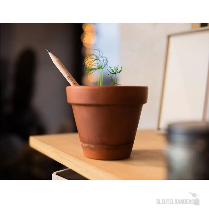 Sproutworld Sharpened Pencil Potlood Basil