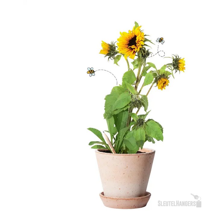 Sproutworld Sharpened Pencil Potlood Sunflower