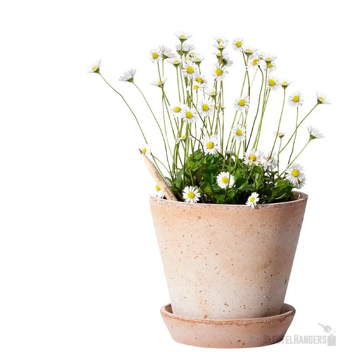 Sproutworld Sharpened Pencil Potlood Margriet