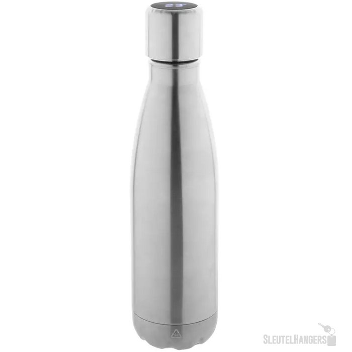 Reverest Geïsoleerde Fles Zilver