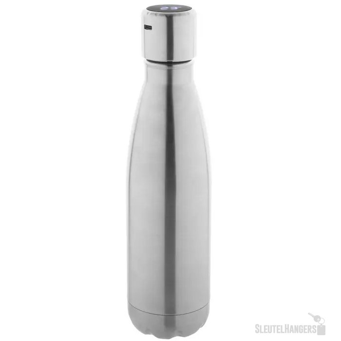 Reverest Geïsoleerde Fles Zilver