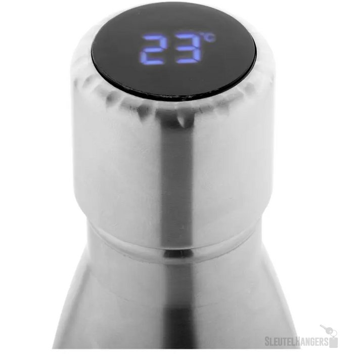 Reverest Geïsoleerde Fles Zilver