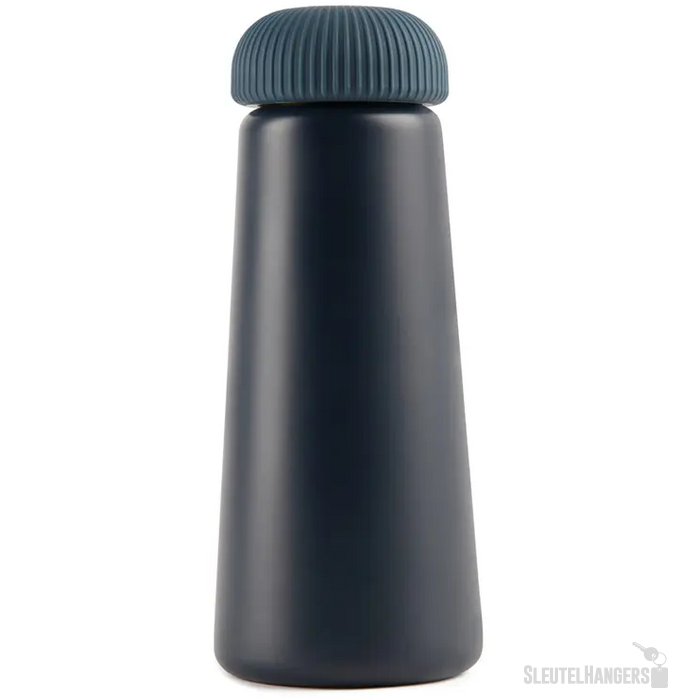 VINGA RCS vacuümfles (450 ml) Blauw