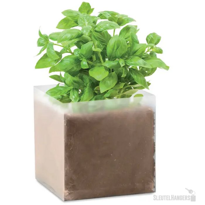 Basilicum zaadjes Basil beige