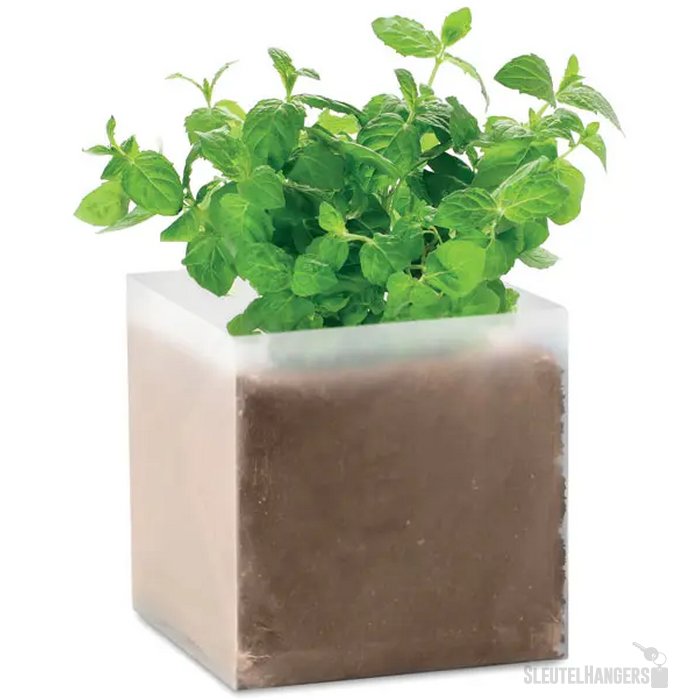 Compost met munt zaadjes Mint beige