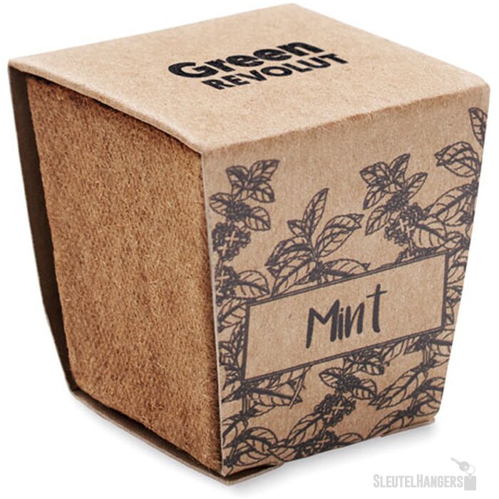 Muntzaad kweekset Mint kit beige