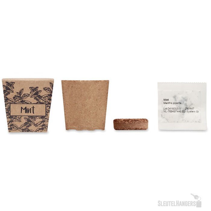 Muntzaad kweekset Mint kit beige
