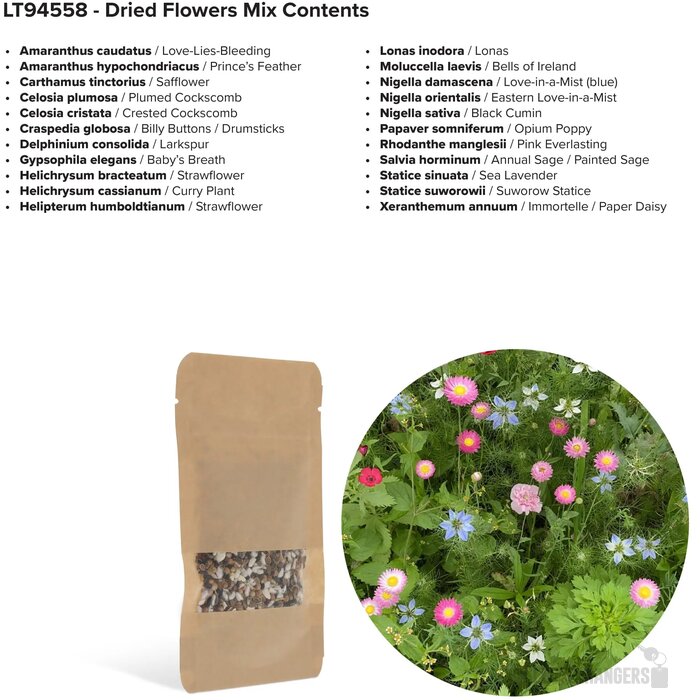 Bloemenzaad droogbloemen 4 gram Bruin