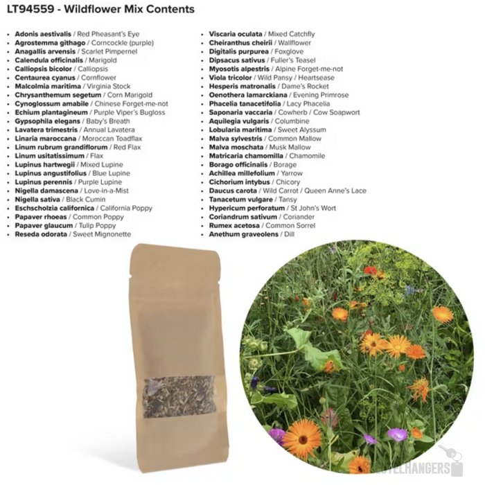 Bloemenzaad wilde bloemen 4 gram bruin