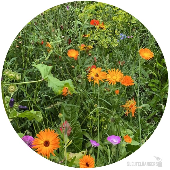 Bloemenzaad wilde bloemen 4 gram bruin