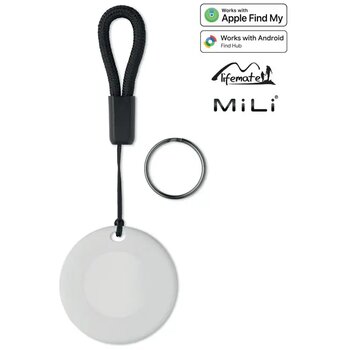 Wit