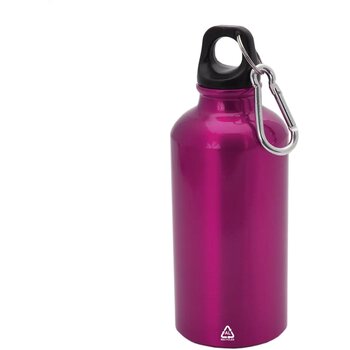 Fuchsia Fuchsia