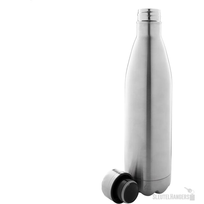 Rinsul Geïsoleerde Fles Zilver