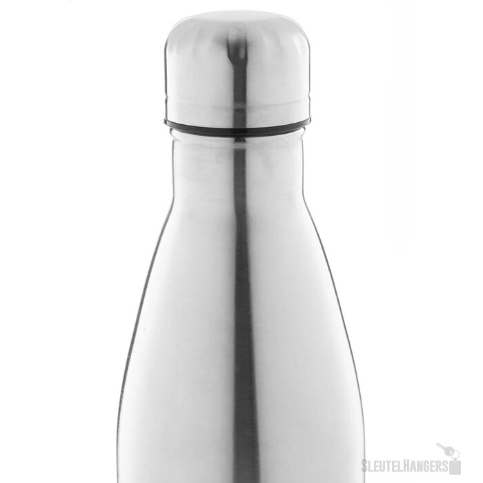 Rinsul Geïsoleerde Fles Zilver