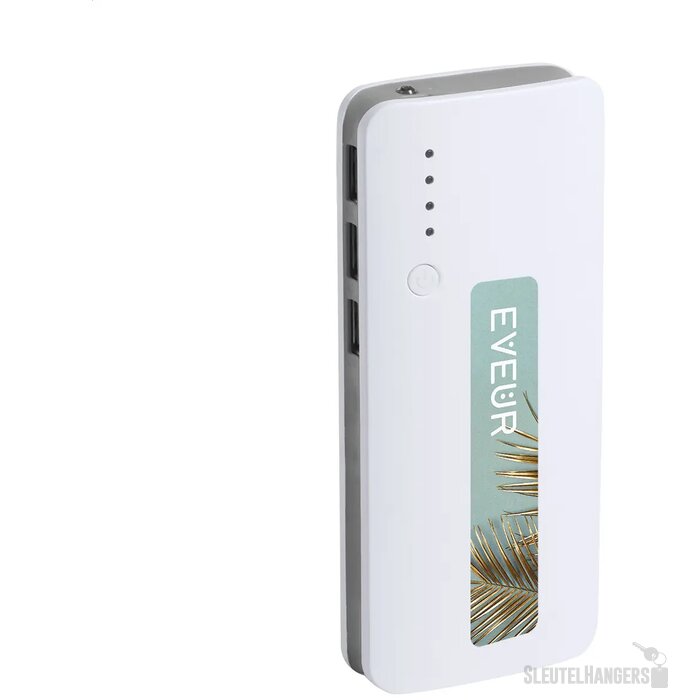 Tenak Powerbank Asgrijs