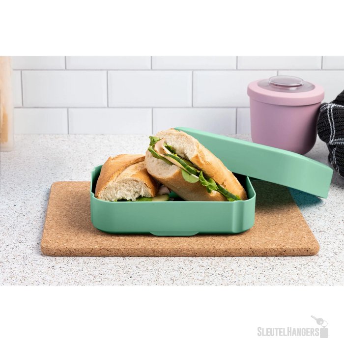 Amuse Classic Lunchbox Medium