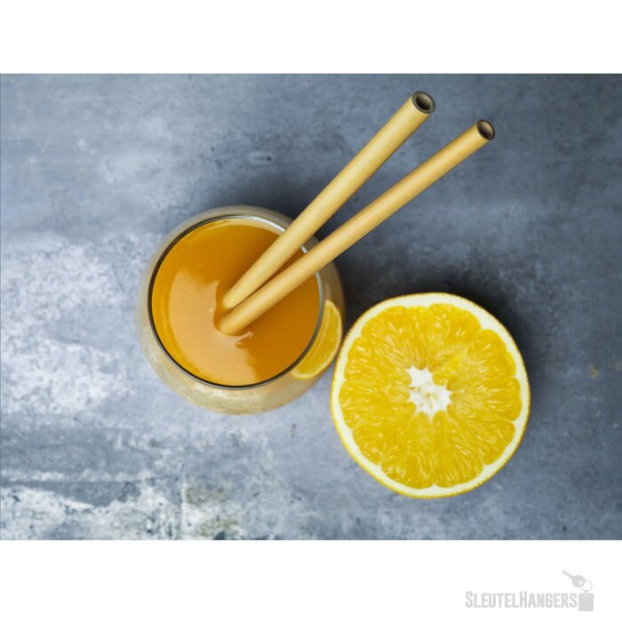 Eco Bamboe Straw Set Bamboe Rietjes