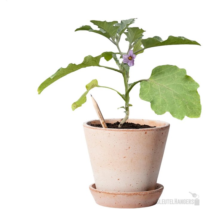 Sproutworld Sharpened Pencil Potlood